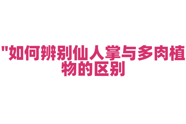 "如何辨别仙人掌与多肉植物的区别？"
